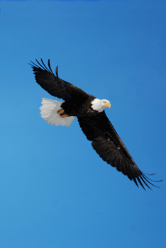 (c) BallardStockPhoto.com